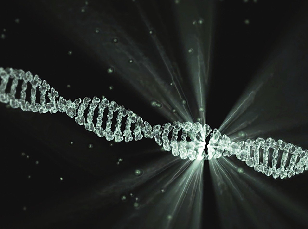 dna 2649850 1280